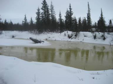 I wasn't gong to let a little bit of water scare me..this was a creek about 10 to 15 milesa before Ambler that we had to cross. I wasn't very comforatable with the machine yet and did fall in (the only one to do this) so I got soaked but luckiliy the weather was warm enough that I could continue on without changing to dry gear. When we reached Ambler, I was well taken care of by friends, Scott & Helena Jones.