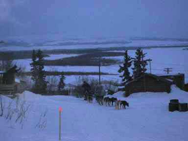 John arrives into Kiana and goes on to win the race!