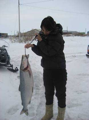 Robyn brings home the biggest sheefish of all - a whoppig 45#!