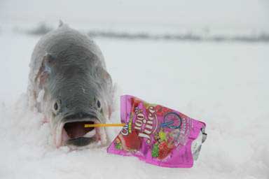 Robyn's fish gets thirsty.