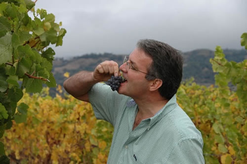 Anderson Valley tasting