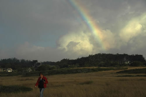 Mendocino coast - another new favorite place in the world