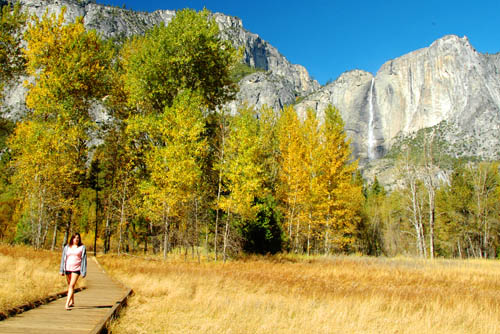 A perfect, golden Yosemite day!