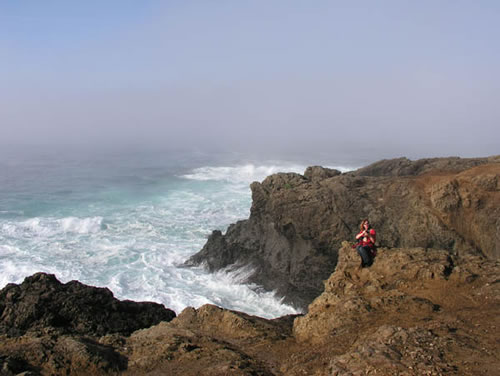 Julie birdwatching on the Mendo coast