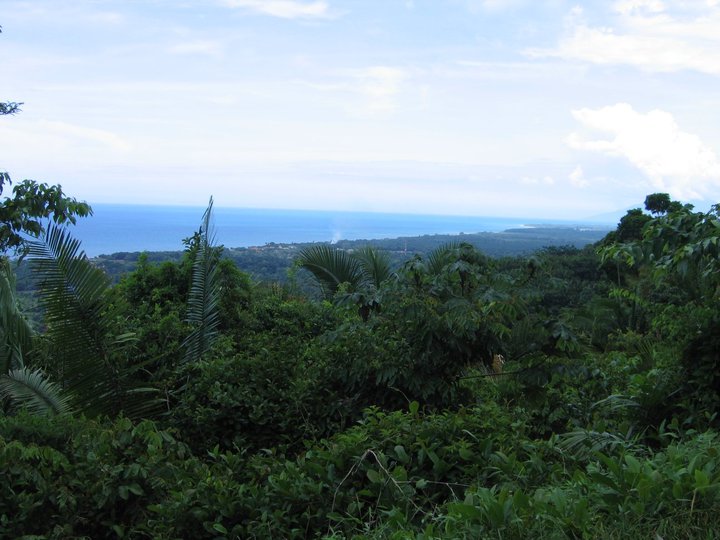 34121_523845175021_211000828_31281094_6105165_n