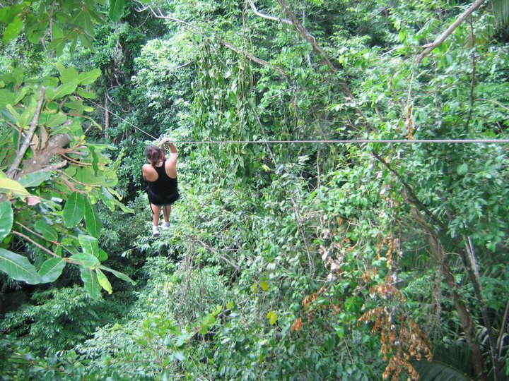 34121_523845189991_211000828_31281097_3338735_n