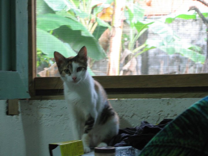 34548_524060423661_211000828_31287376_5736342_n