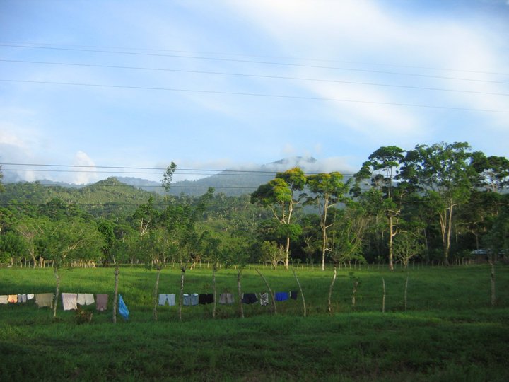 34876_523845703961_211000828_31281117_4172552_n