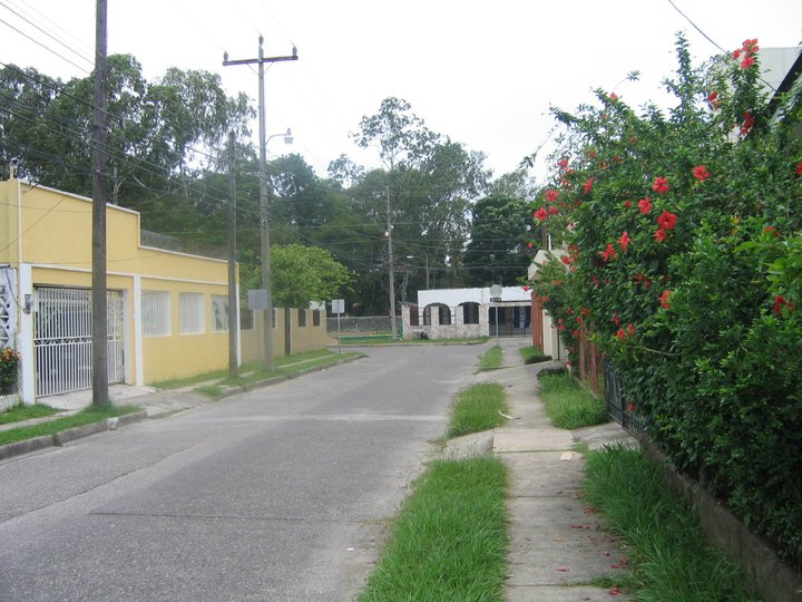 34876_523845723921_211000828_31281121_6222931_n