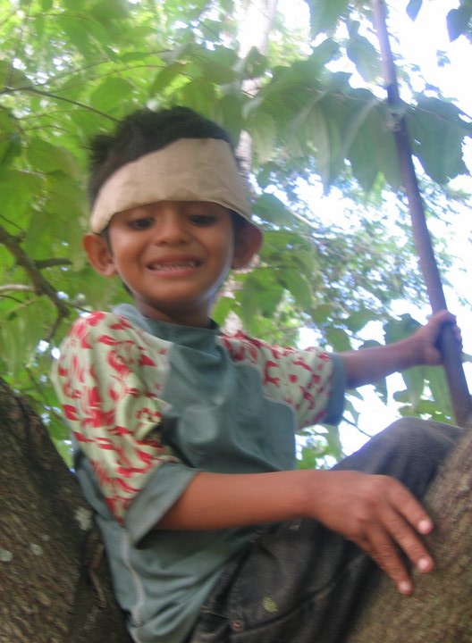 35169_524060318871_211000828_31287366_7552662_n