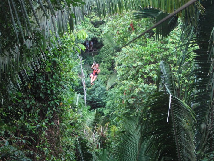 37338_523845249871_211000828_31281099_2308233_n