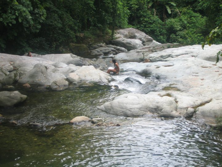 37388_523845853661_211000828_31281129_5207706_n