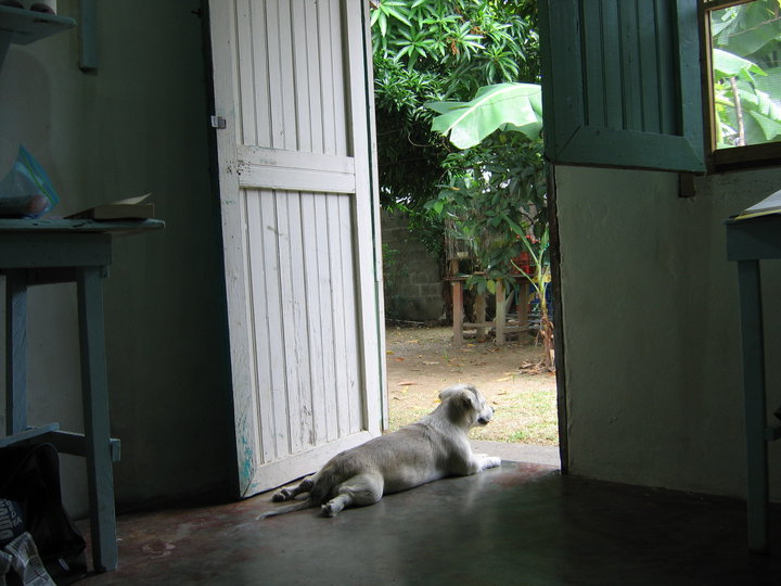 37522_523844905561_211000828_31281090_2689470_n