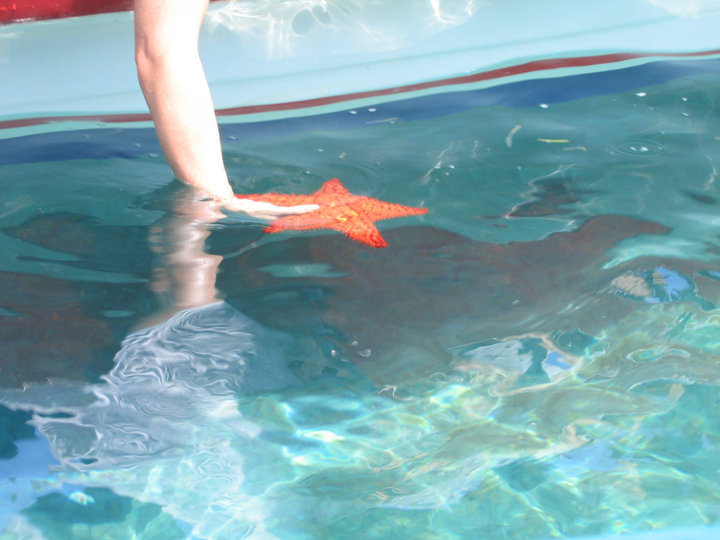 37719_524293411751_211000828_31294980_3021758_n