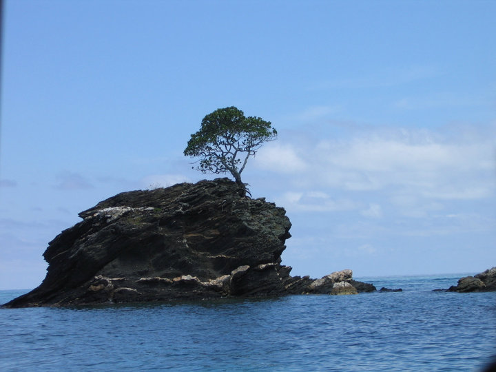 38129_524293431711_211000828_31294981_2834591_n