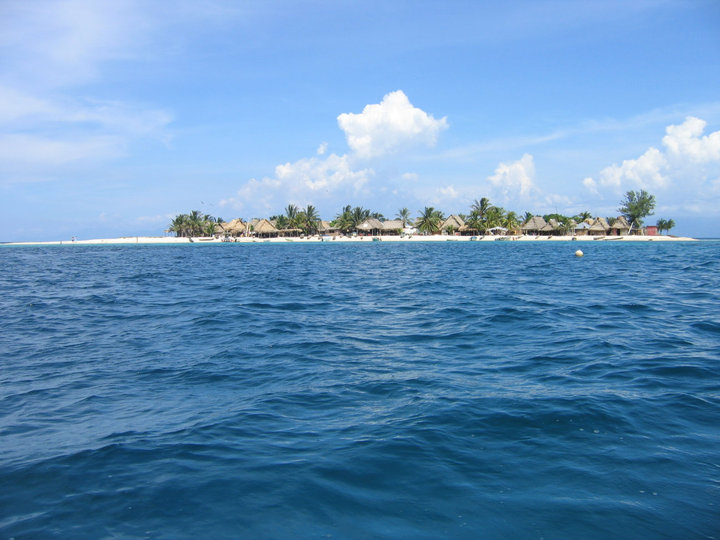 38129_524293446681_211000828_31294984_3751492_n