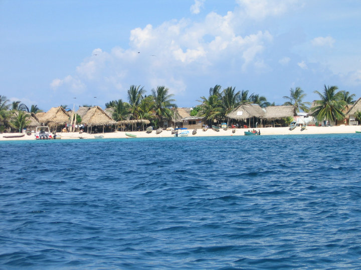 38129_524293456661_211000828_31294986_3052984_n