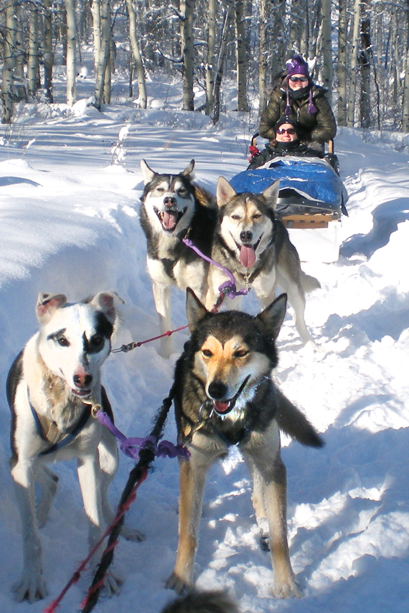 Tricia driving the sled2
