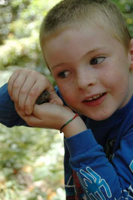 Henry's little buddy - a toad