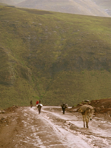 Donkey's, cars and people share the mountain road to Thaba Tseka
