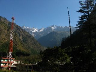 The view from the roof top of the Deep Forest Hotel.