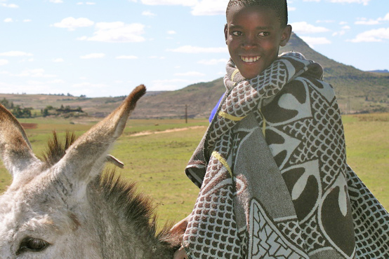 Lesotho herd boy