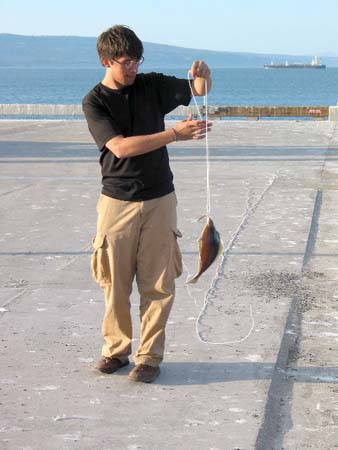 David's Catch