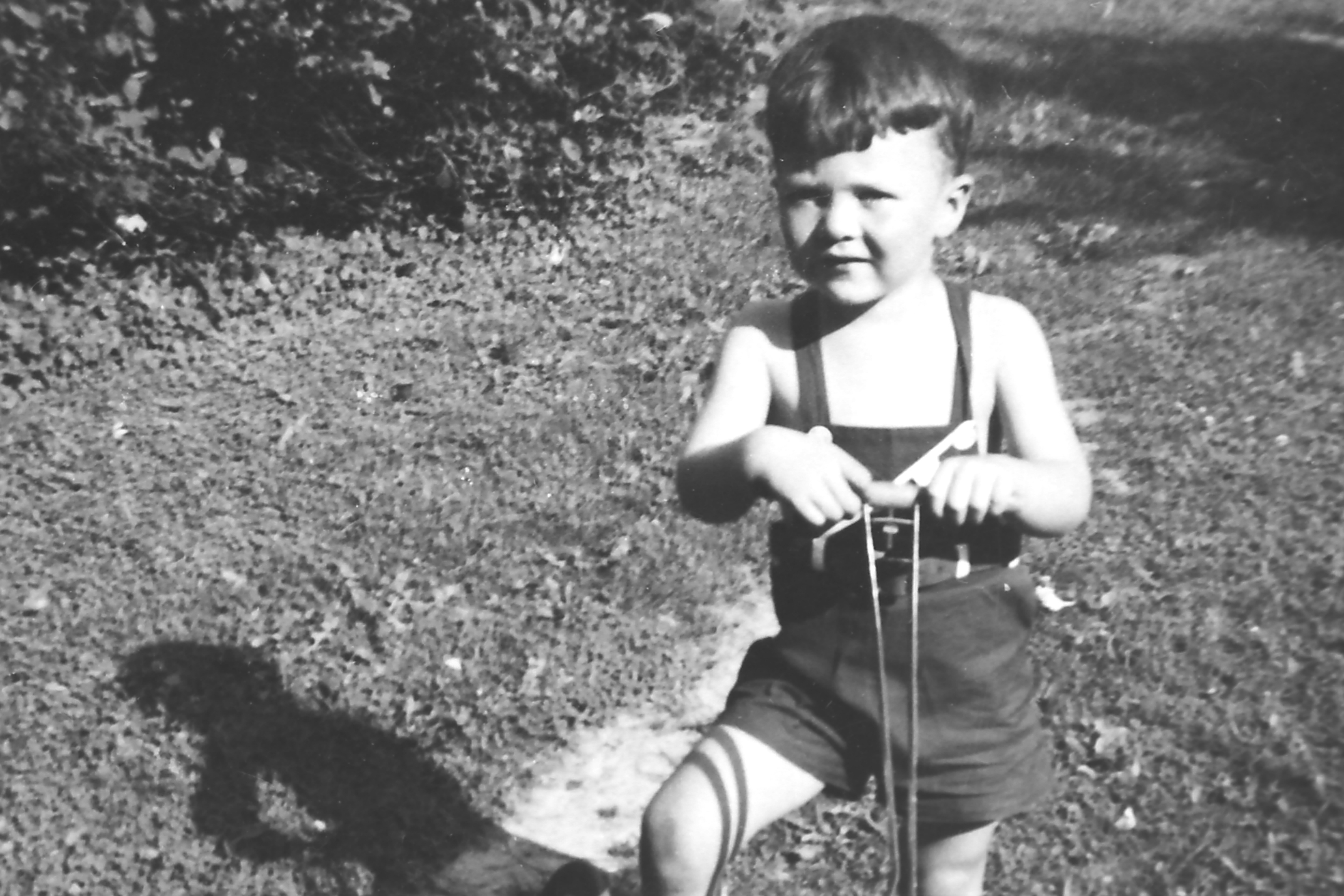 My beautiful picture