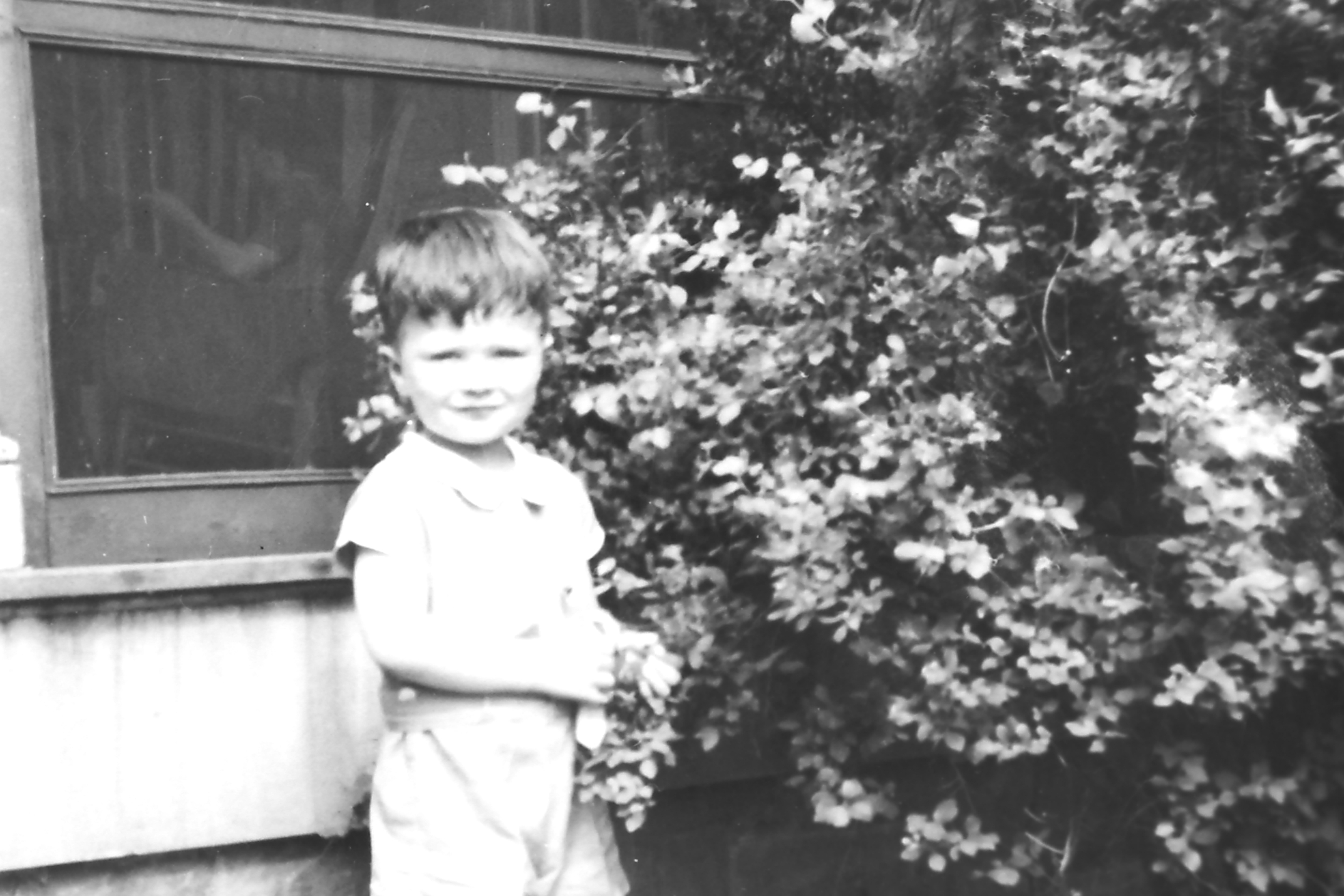 My beautiful picture