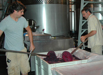 winemakers