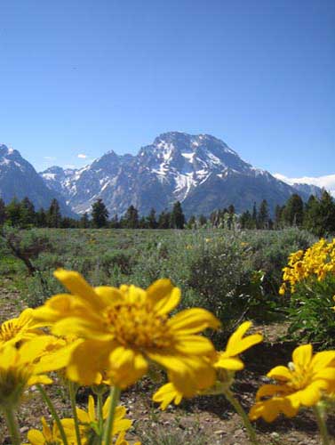 08_grand_tetons_np