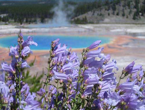 12_yellowstone_np