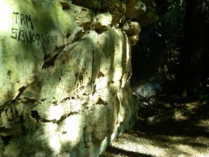 IMG00101-20090531-1715_1