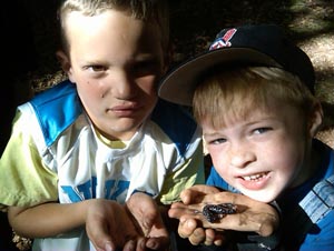 IMG00103-20090531-1722_1