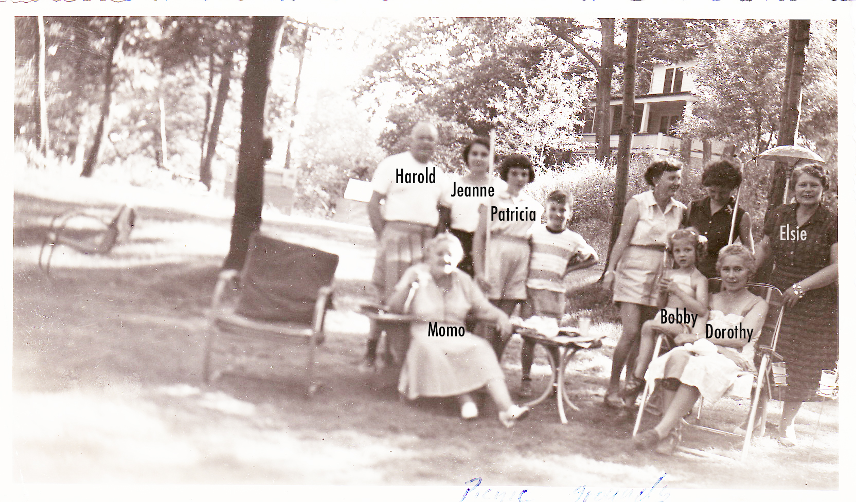 The picnic grounds that Harold developed for family gatherings next to their house on Overlook.