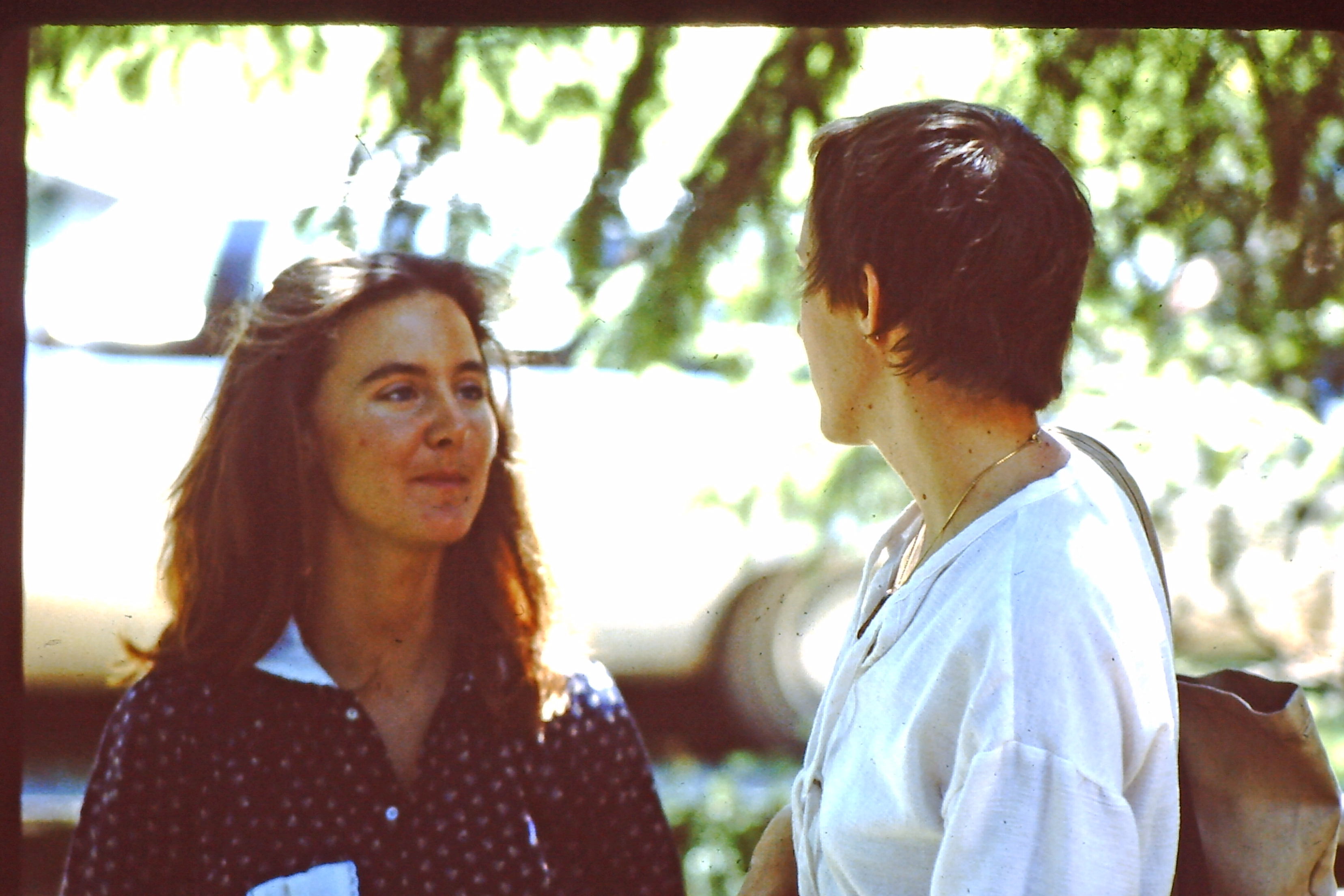 My beautiful picture