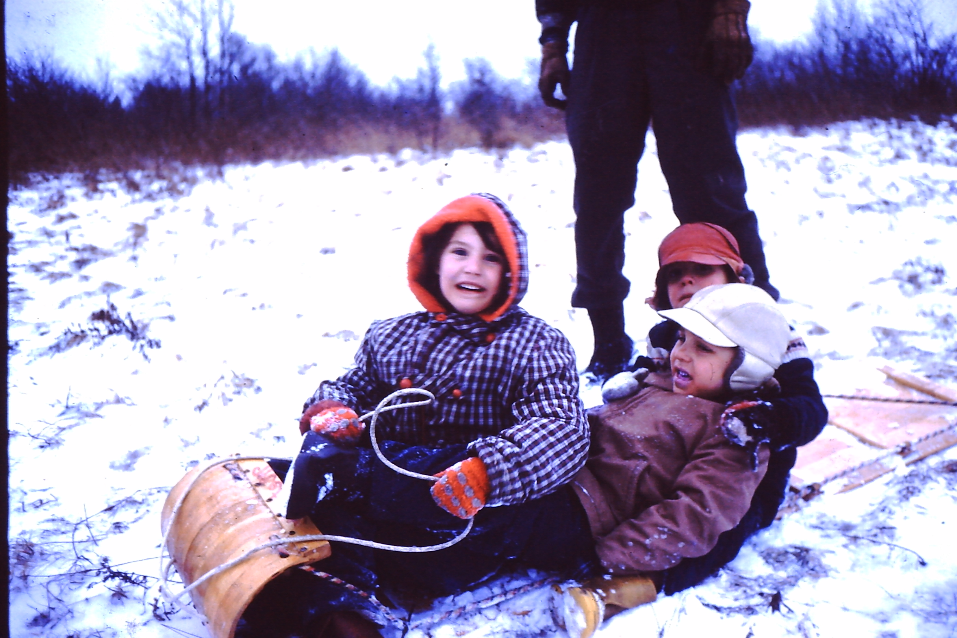 My beautiful picture