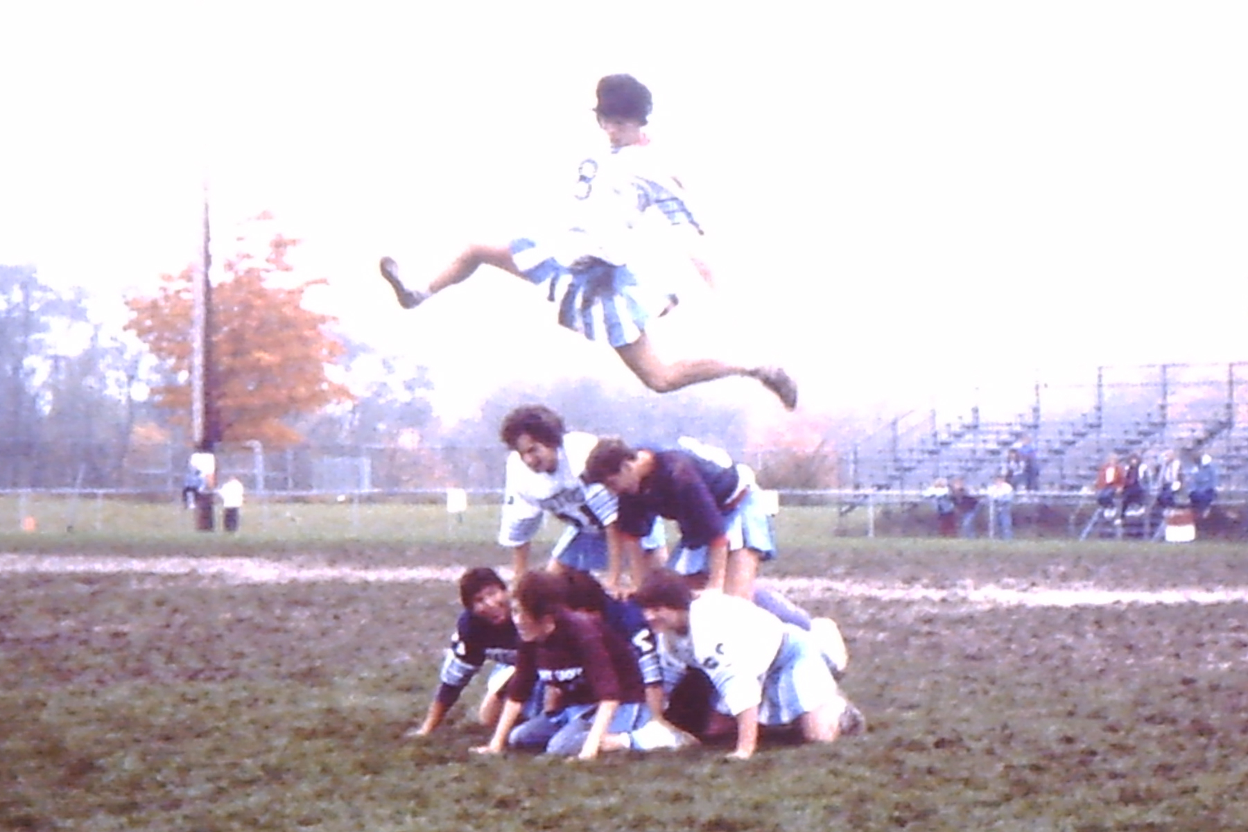 My beautiful picture