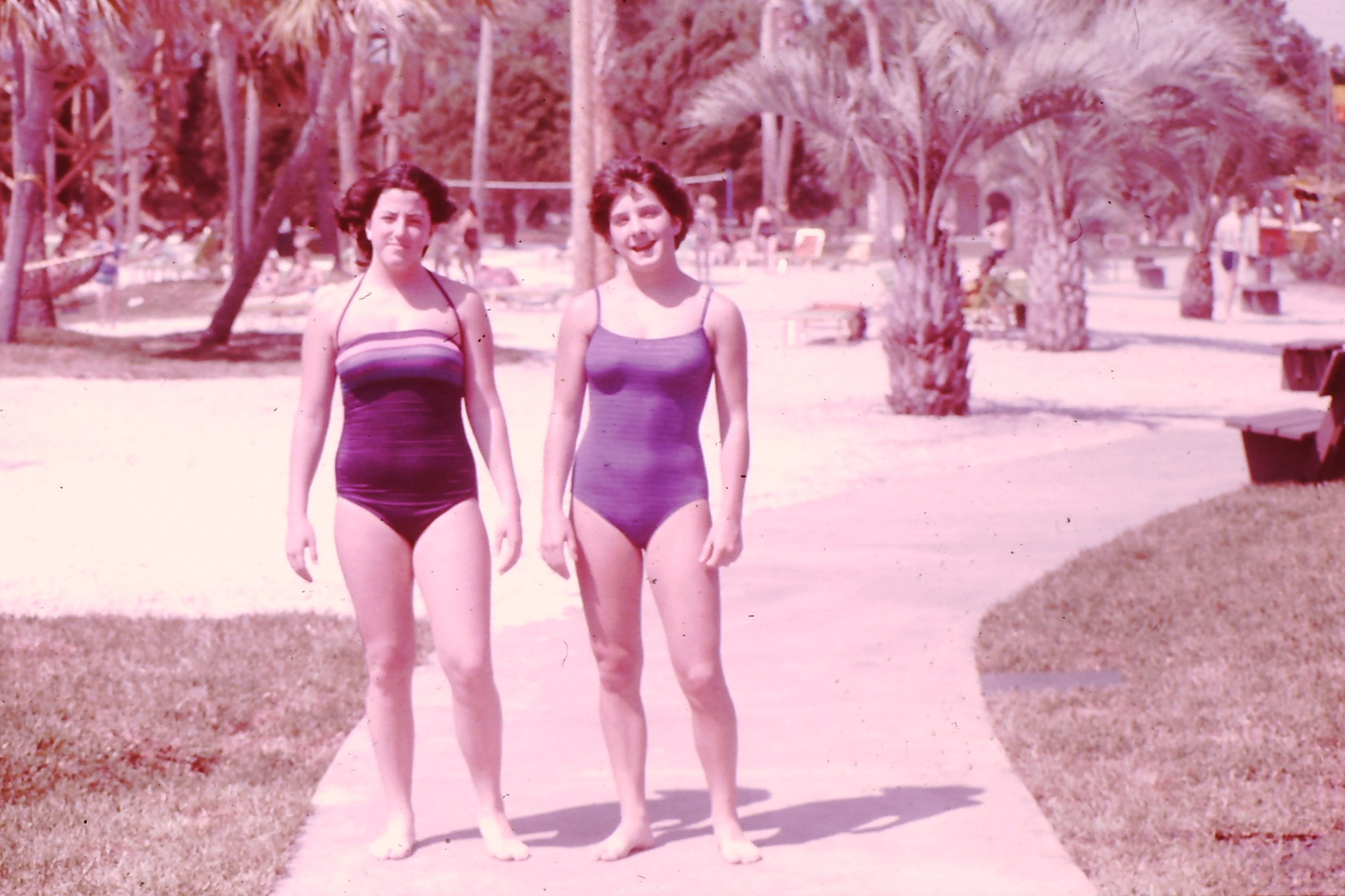 My beautiful picture