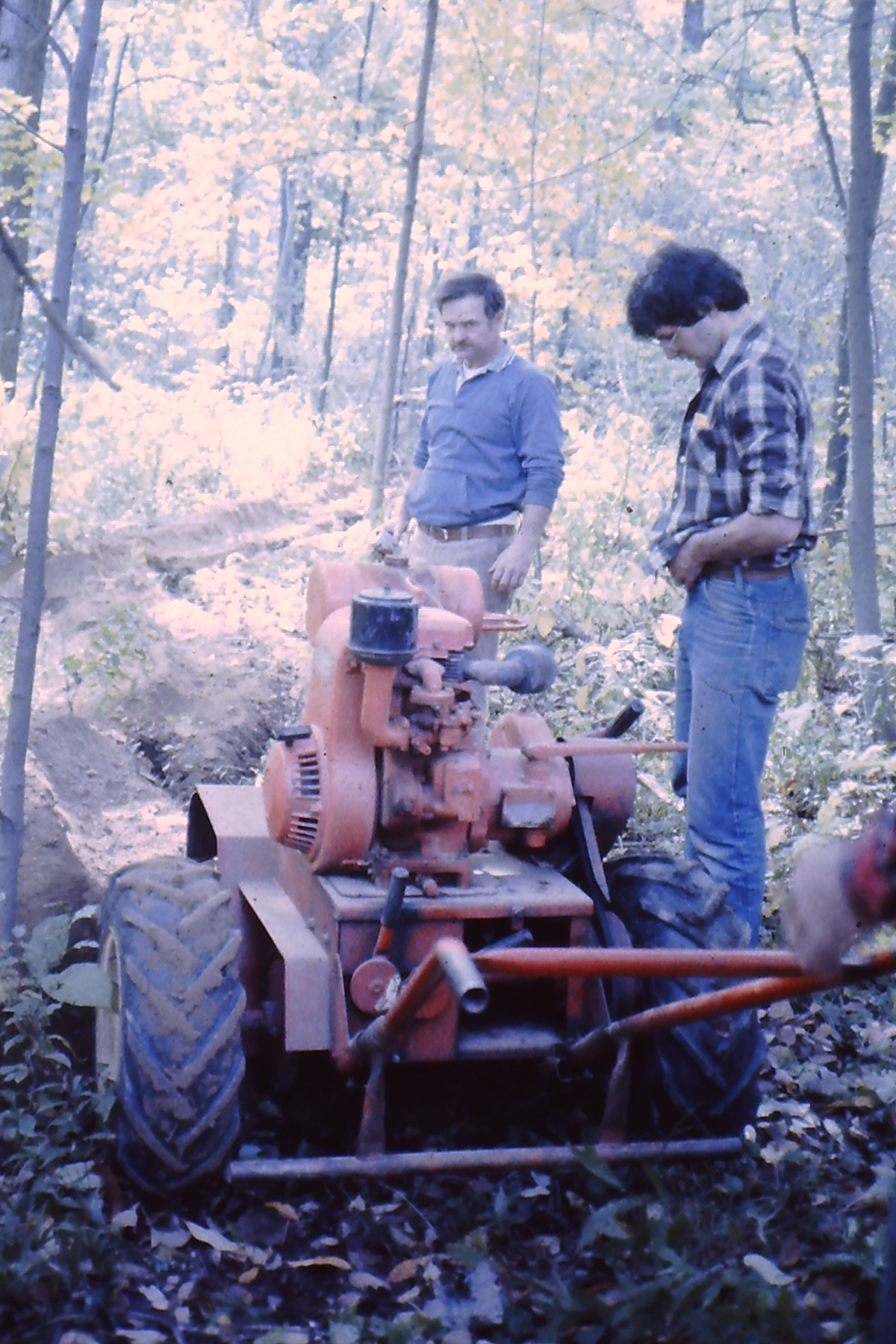 My beautiful picture