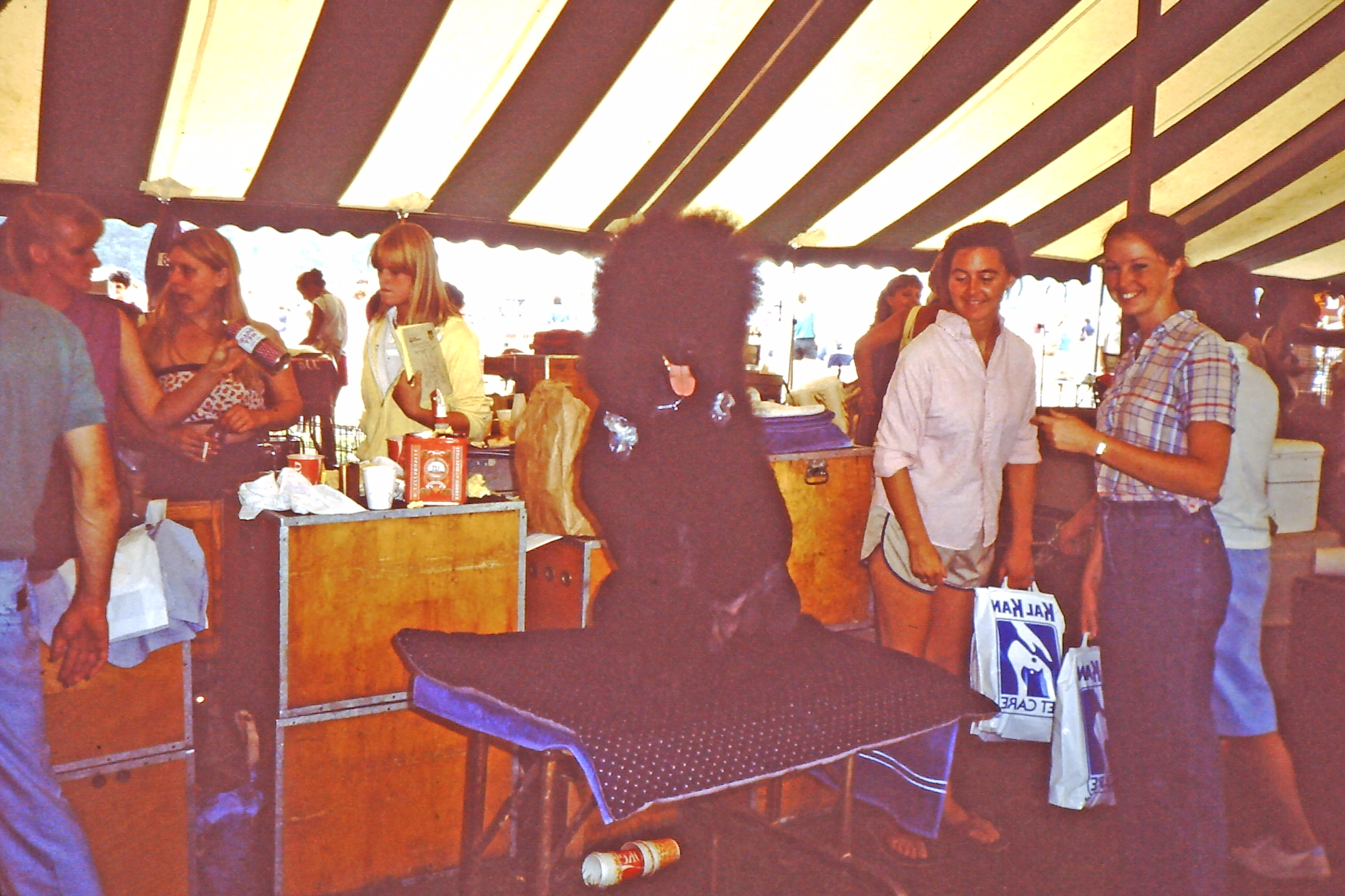 My beautiful picture