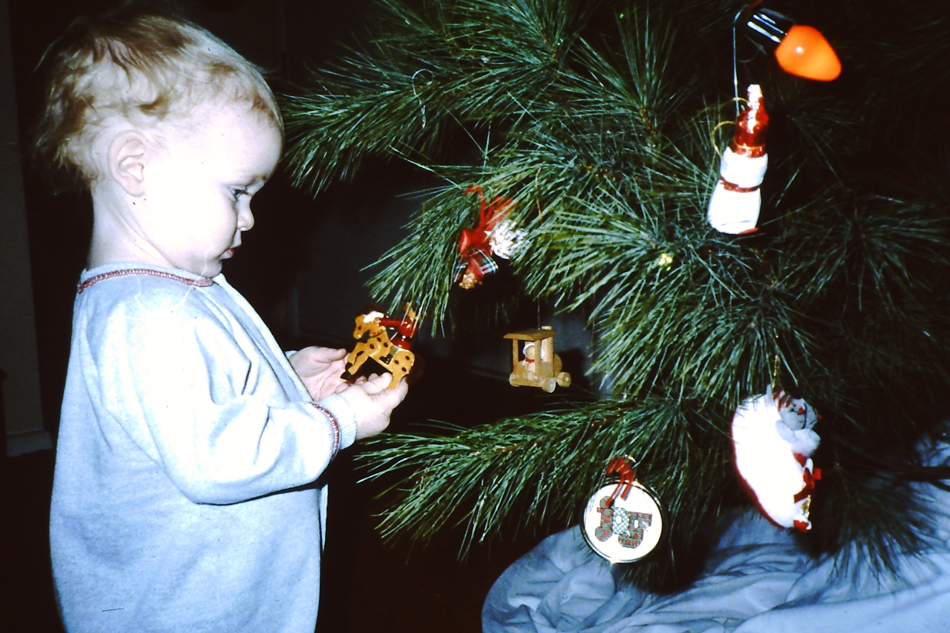 My beautiful picture