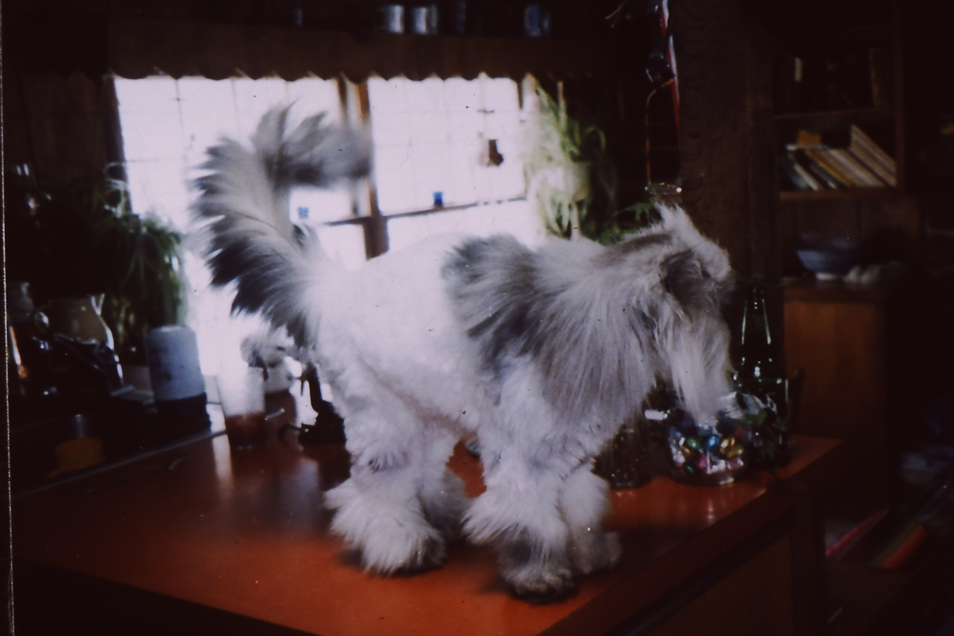 My beautiful picture