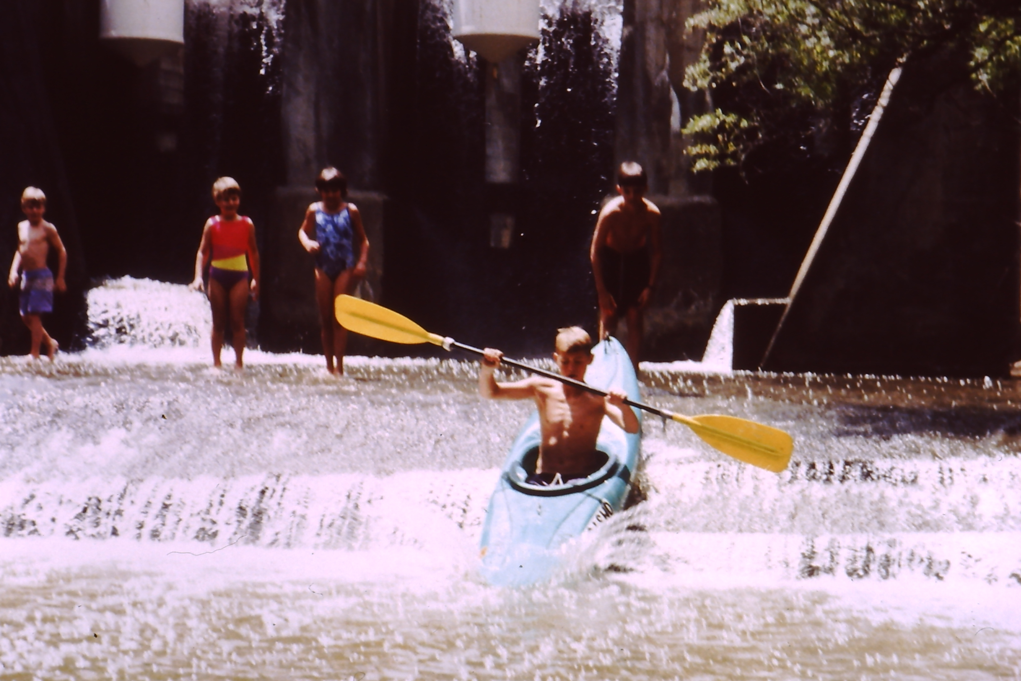 My beautiful picture