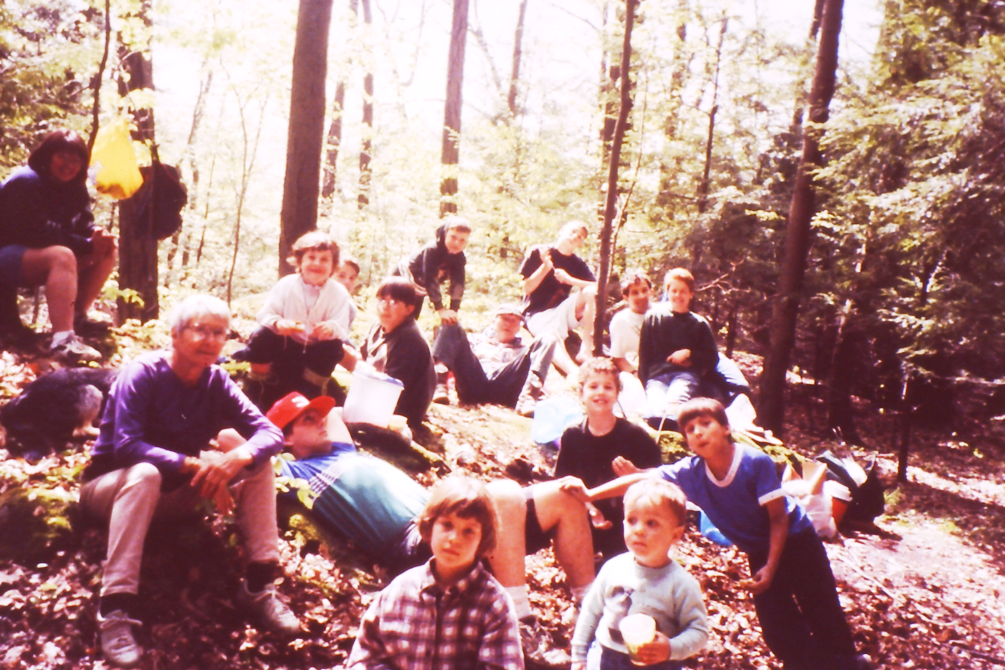 My beautiful picture