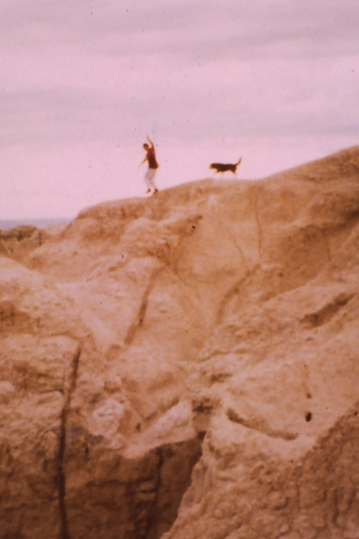 My beautiful picture