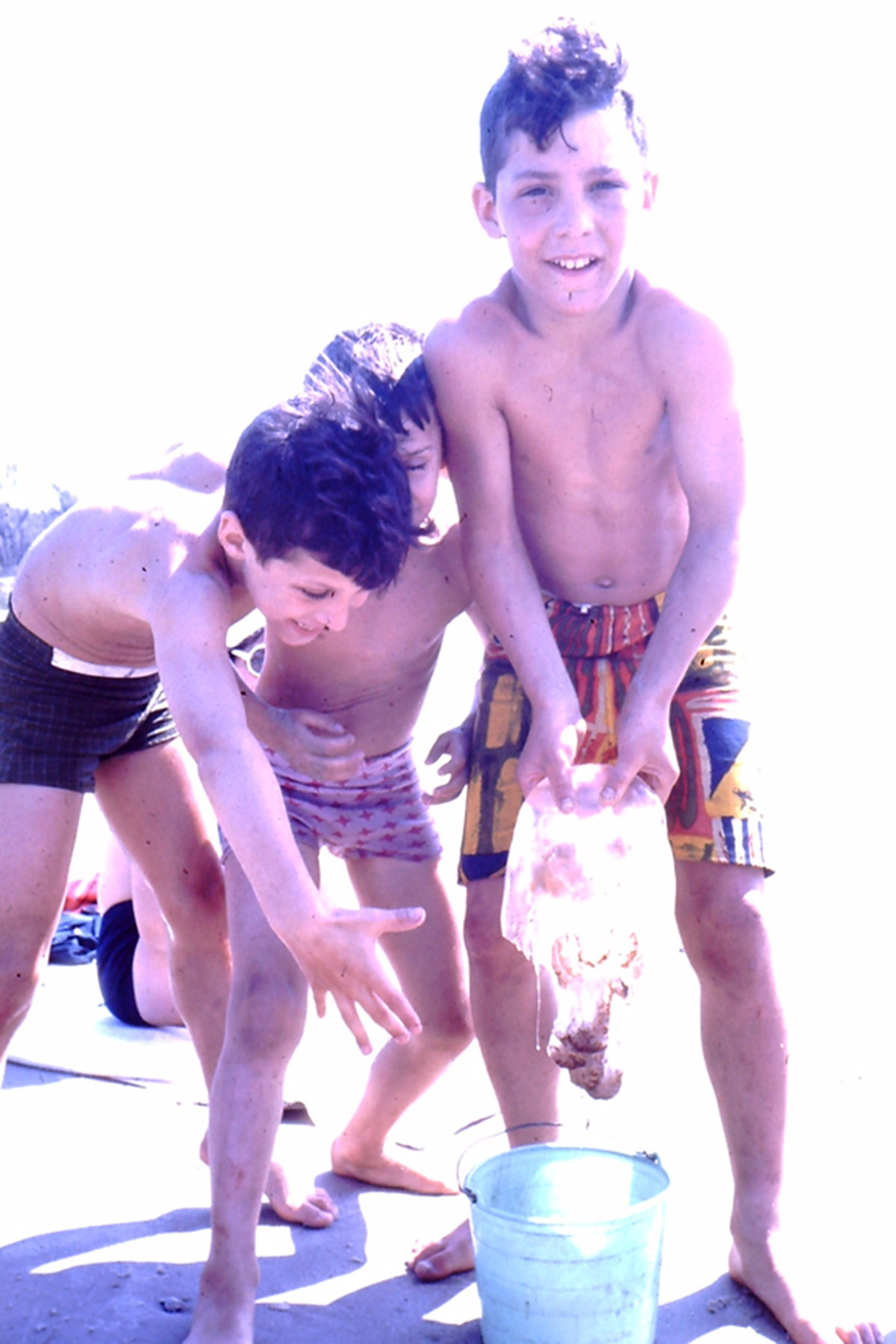 My beautiful picture