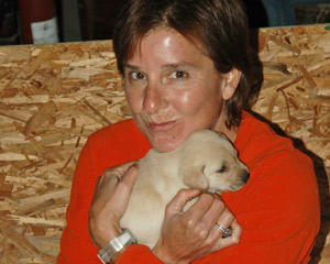 Puppies at the Fords