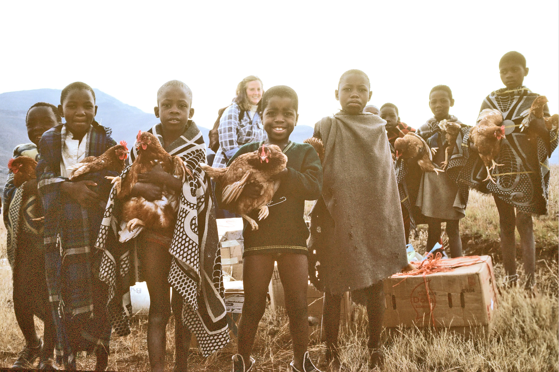 The chicken photo used in the article